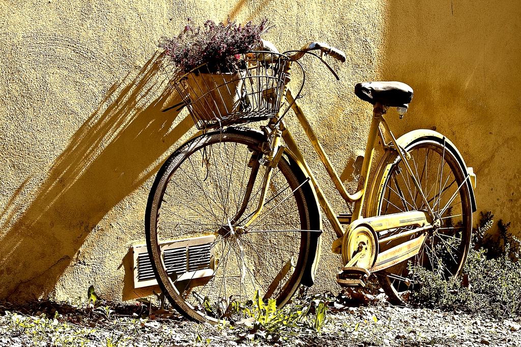 BRANDNAME workshop overview