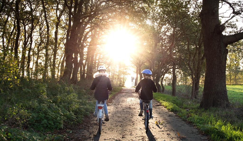 Experienced team icon